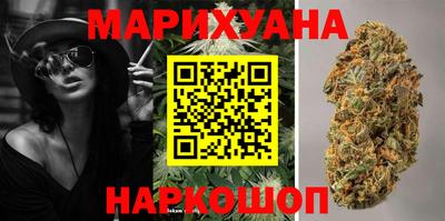 сатива Бузулук