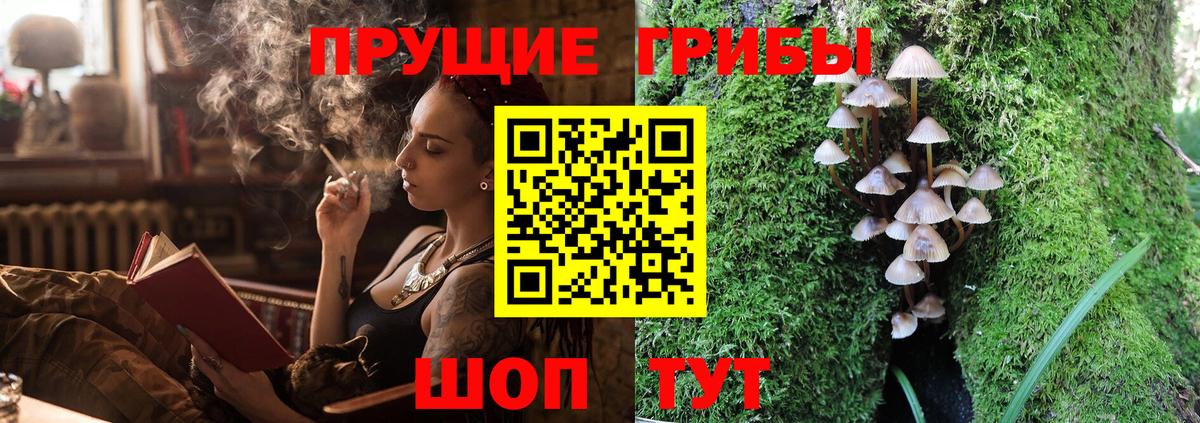 Галлюциногенные грибы Cubensis Нововоронеж